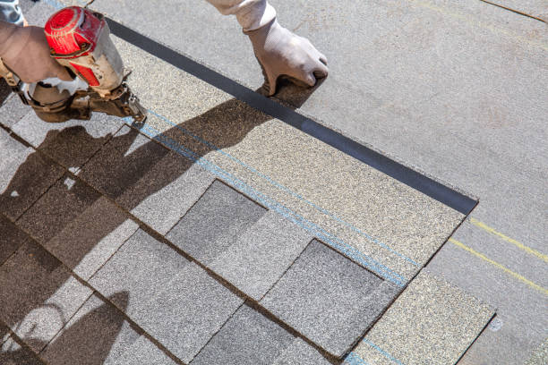 Best Gutter Installation and Roofing  in Skidaway Island, GA